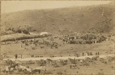 Image: Otago Peninsula A. and P. show