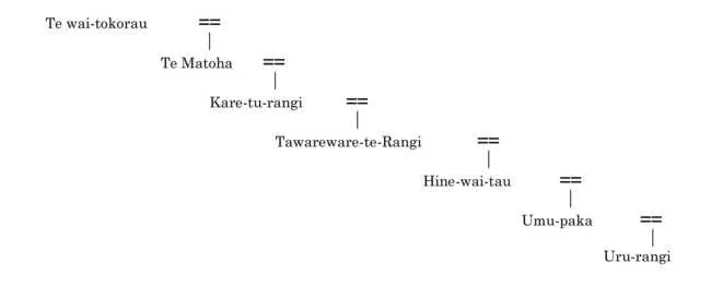 A black and white diagram showing the whakapapa from Te Wai-tokorau to Uru-rangi