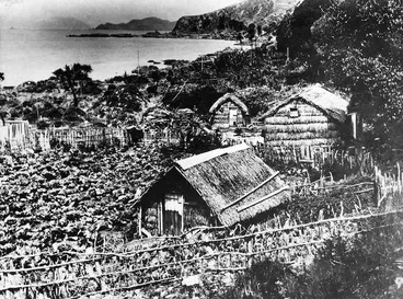 Image: Whare at Karaka Bay, Wellington