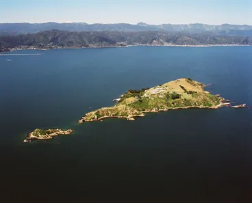 Image: Matiu, Wellington Harbour