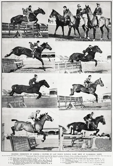 Image: Splendid exhibitions of jumping a feature of last week's National Dairy Show at Palmerston North