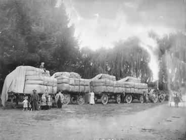 Image: Wool wagon, unidentified location