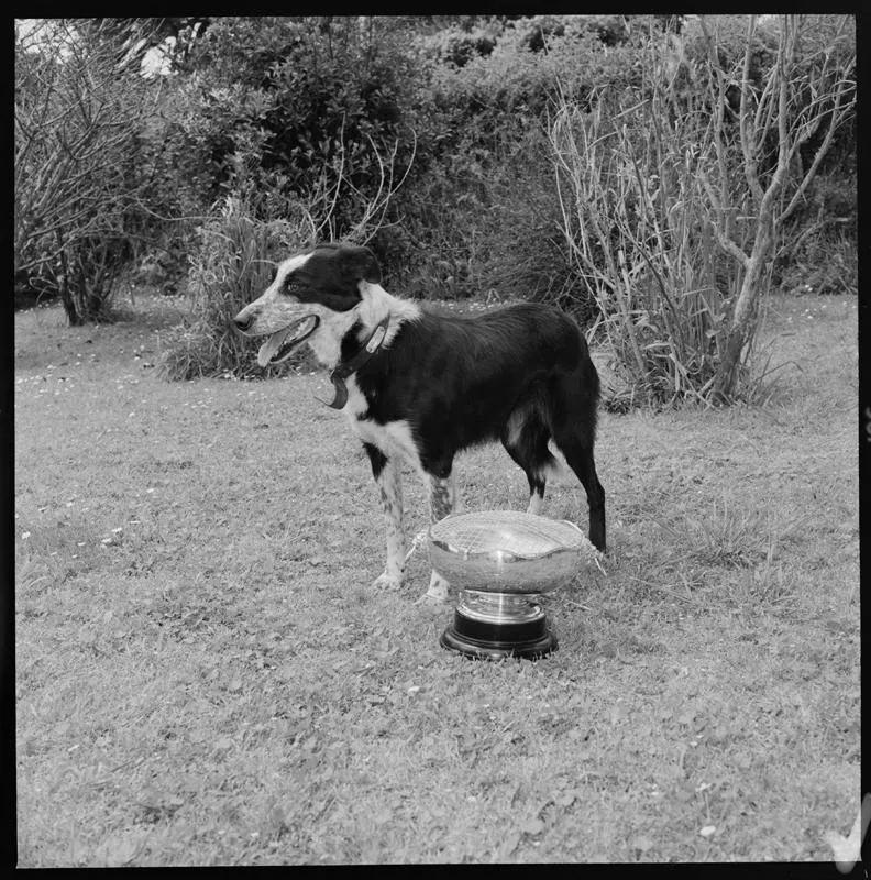 Morrow, Dog and Trophy
