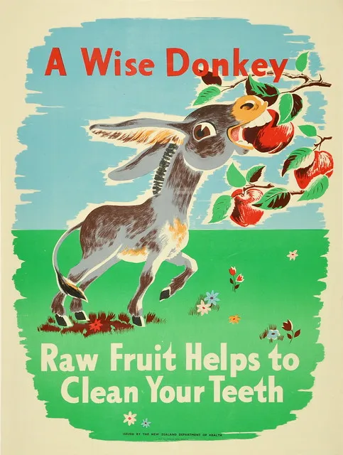 "A Wise Donkey"