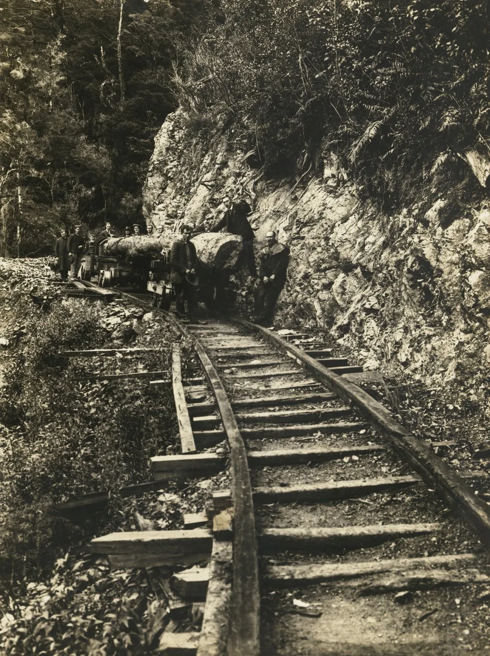 Timber industry; Campbell's Sawmills Ltd, Karapoti; logging tractor trial.