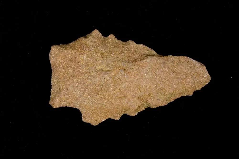 Projectile point