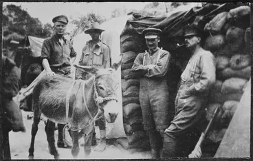 Image: Group with Simpson and his donkey "Murphy", Gallipoli