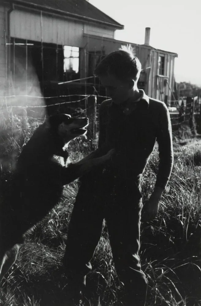 Boy and dog, Northland