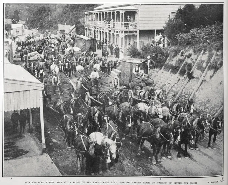 AUCKLAND GOLD MINING INDUSTRY: A SCENE ON THE PAEROA-WAIHI ROAD, SHOWING WAGGON TEAMS AT WAIKINO EN ROUTE FOR WAIHI