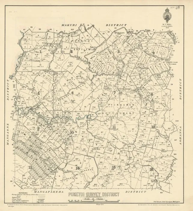 Puketoi Survey District [electronic resource].