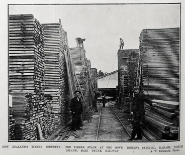Image: NEW ZEALAND'S TIMBER INDUSTRY: THE TIMBER STACK AT THE GOVERNMENT SAWMILL, KAKAHI, NORTH ISLAND, MAIN TRUNK RAILWAY
