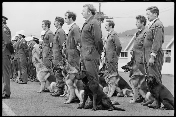 Dogs and handlers at Trentham Police College - Photograph taken by Merv Griffiths