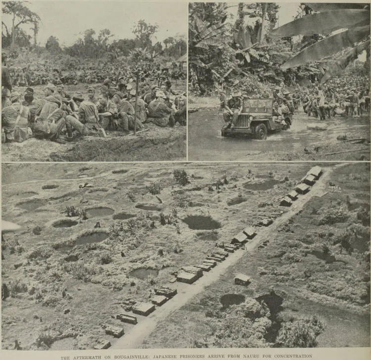 The aftermath on Bougainville: Japanese prisoners arrive from Nauru for concentration in a camp at Torokina