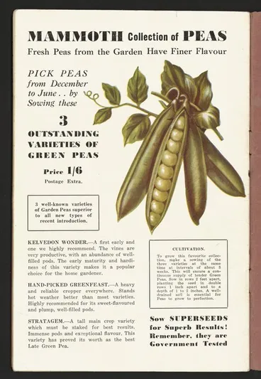 Image: F M Winstone (Seeds) Ltd :Mammoth collection of peas; fresh peas from the garden have finer flavour. Pick peas from December to June ... by sowing these 3 outstanding varieties of green peas. Price 1/6 [1946]