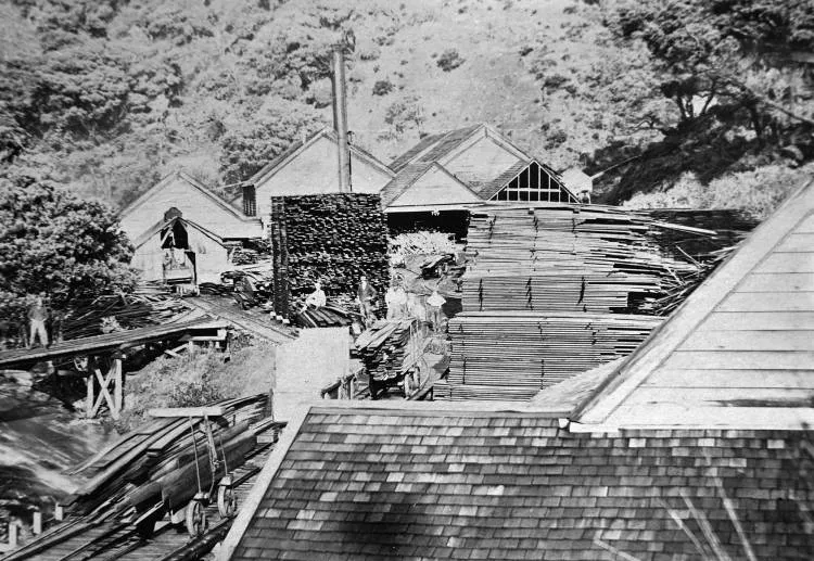 Sawmill at Karekare.