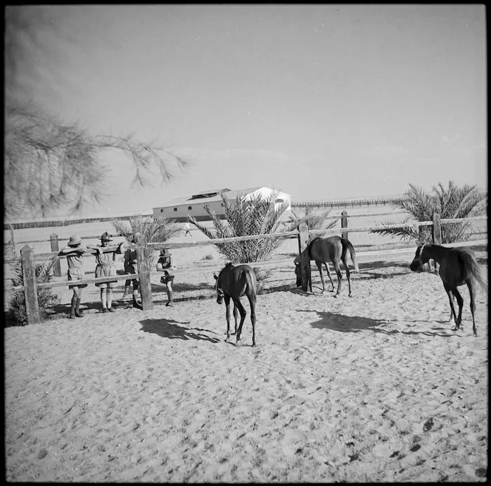 NZ troops visit Egyptian Government stables at Heliopolis