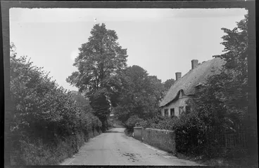 Image: Thatched cottage at side of leafy country land, Buckinghamshire, United Kingdom