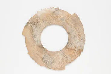 Image: disc
