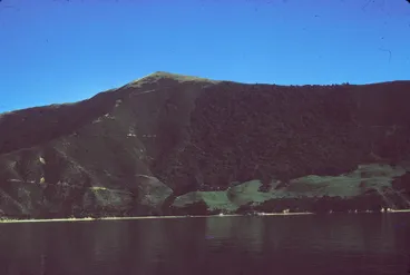 Image: Maud Island