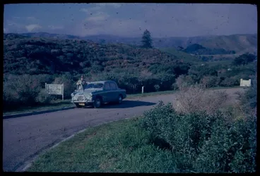 Image: Dunes with single Norfolk Island pine, from just within southern entrance to Queen Elizabeth Park, Paekakariki ....