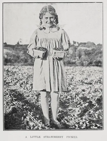 A little strawberry picker Image: A little strawberry picker