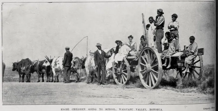 Maori children going to school in Waiotapu Valley, Rotorua