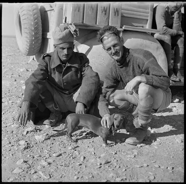 Image: A New Zealand soldier with an Indian soldier and a German dog, Egypt