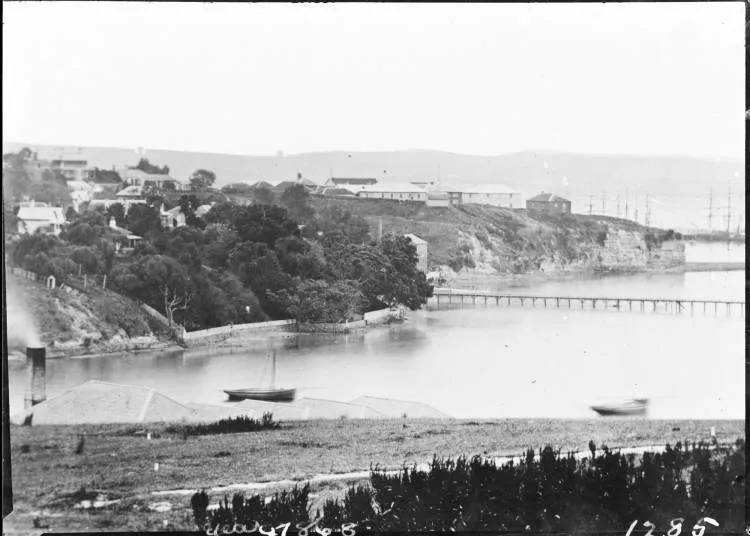 Mechanics Bay and Wynyard Pier from Parnell Rise, 1868