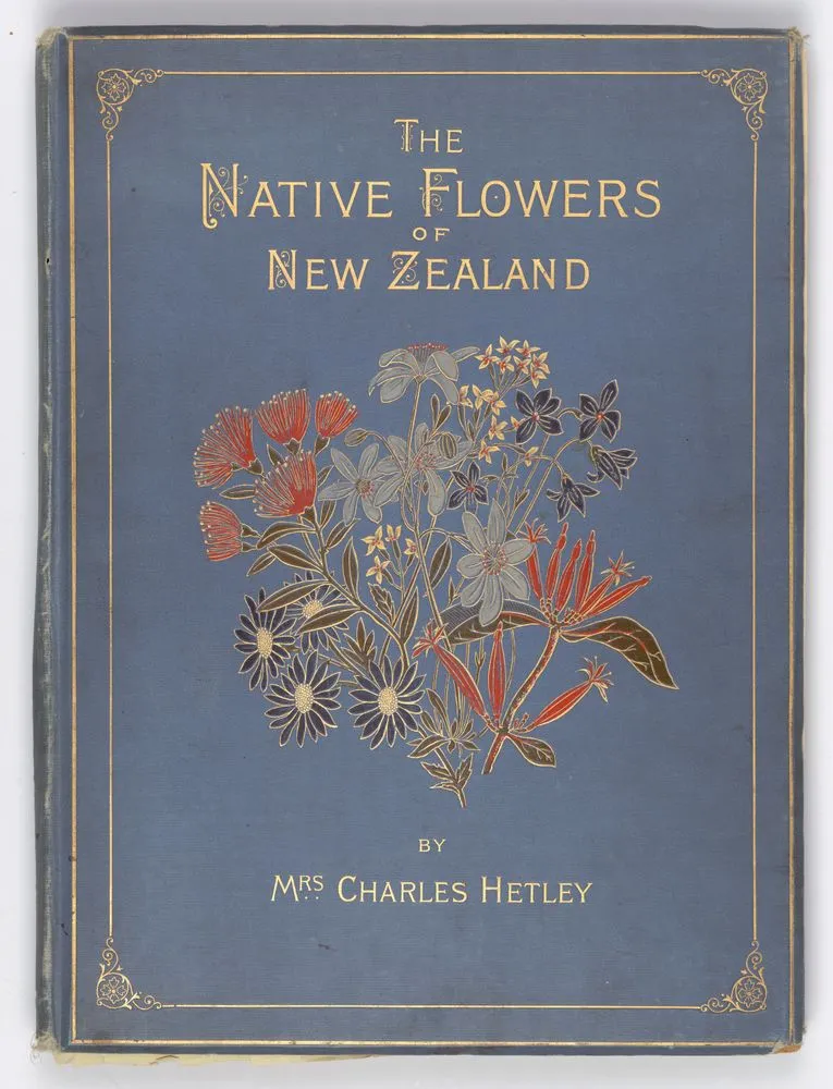 The native flowers of New Zealand