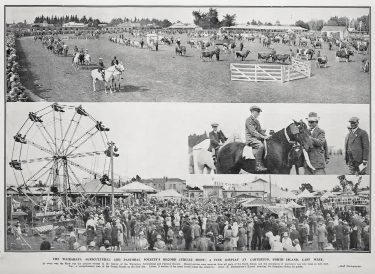 The Wairarapa Agricultural And Pastoral Society's Record Jubilee Show: A Fine Display At Carterton, North Island, Last Week