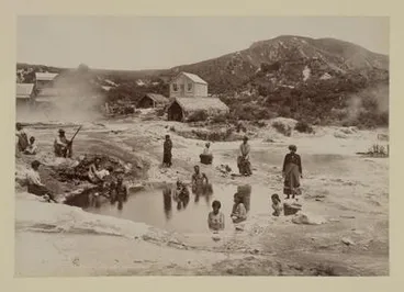 Image: The Ngawhas - Whakarewarewa