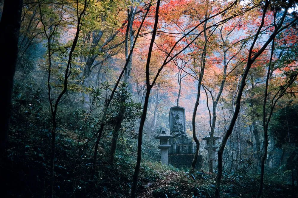Japan Series: Buddhist Gravestone