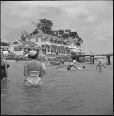 Image: Opo the dolphin, Opononi