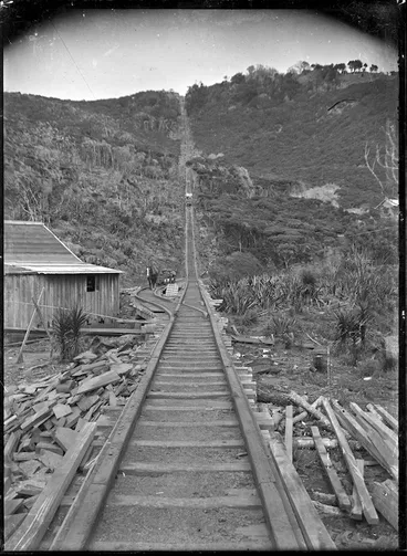 Image: Piha tram line, used for timber transportation