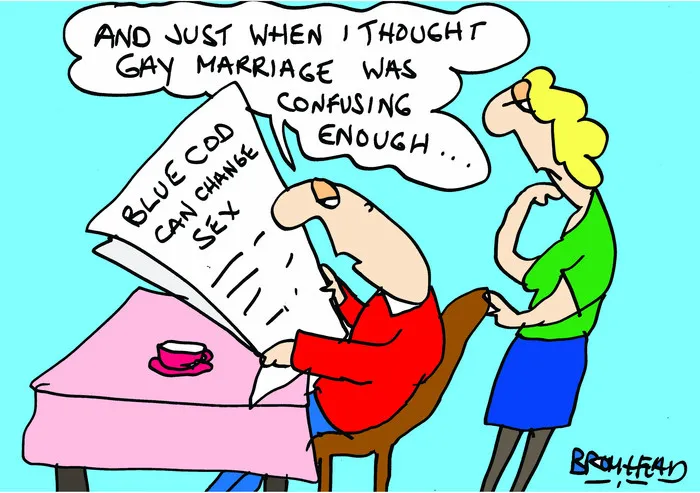 Bromhead, Peter, 1933-:'And just when I thought gay marriage was confusing enough...' 1 August 2012