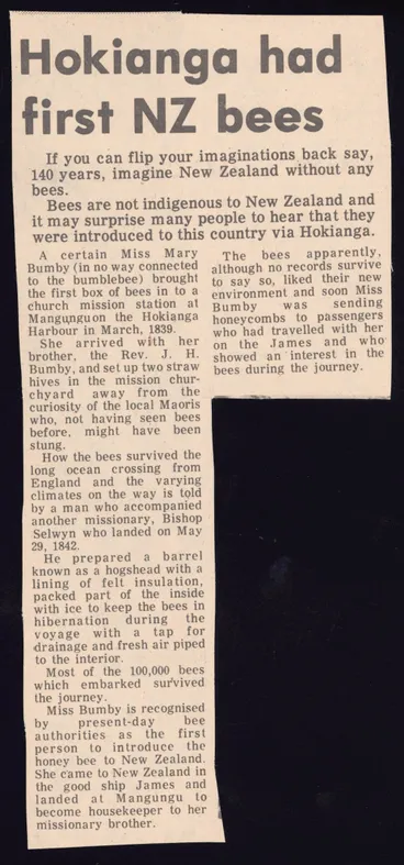 Image: Hokianga had first NZ bees