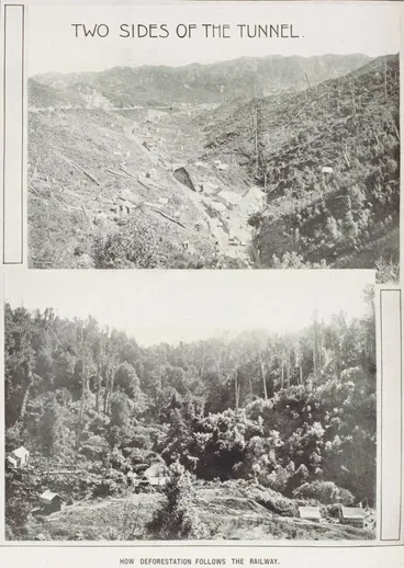 Image: How deforestation follows the railway
