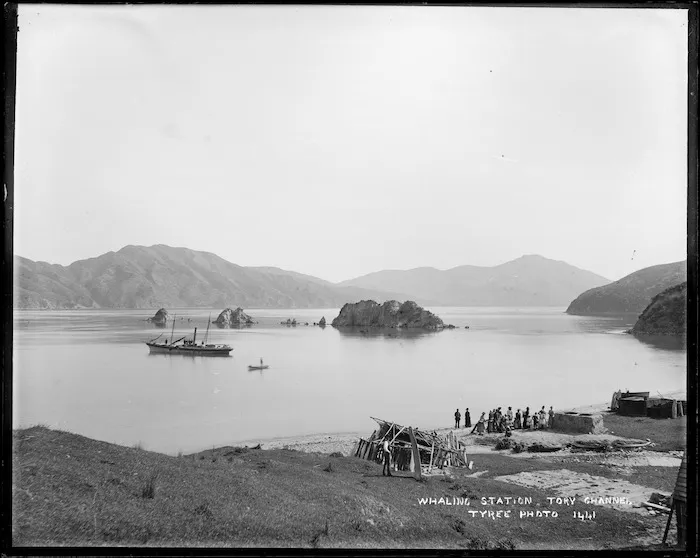 Te Awaiti Bay, Tory Channel, with whaling station