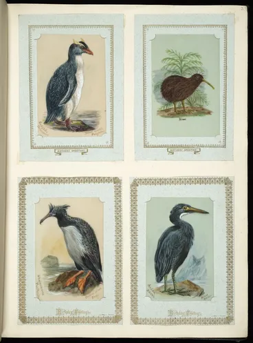 Image: Archibald Dudingston Willis (Firm) :Eudyptes chrysacomus / Yellow crested penguin. Kiwi. Phalacrocorax featherstoni / Chatham Island shag. Ardea sacra / Blue heron. [ca 1885]