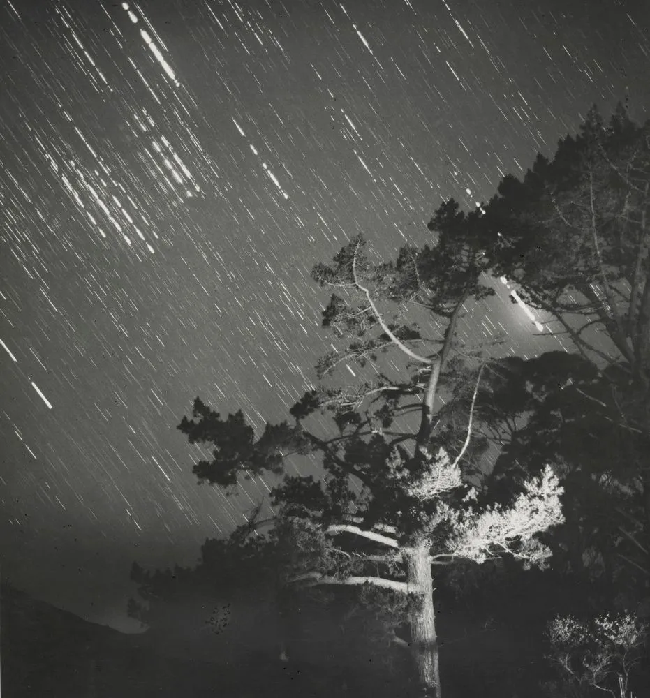 Night sky, Waimamaku