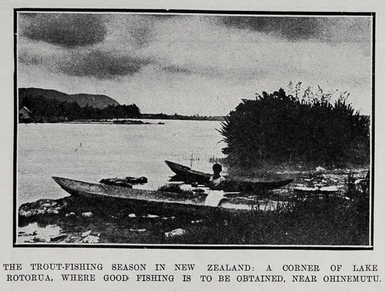 The trout fishing season in New Zealand