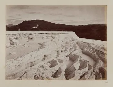 Image: White Terrace