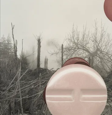 Image: The terrace (6)