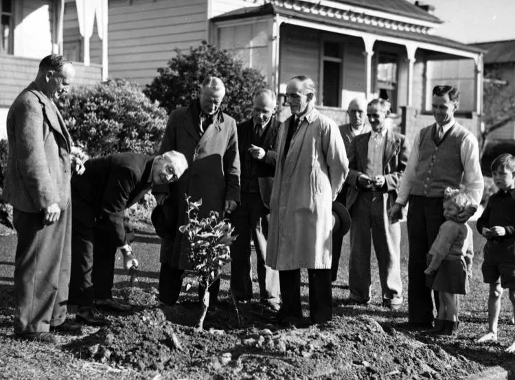 Tree planting in Richmond Avenue, 1950