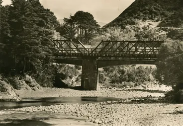 Image: Birchville bridge 1; Te Awa Kairangi / Hutt River, Rata Street to Bridge Road