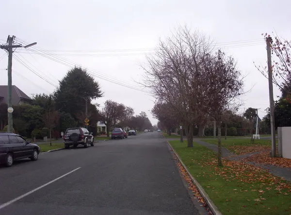 Autumn trees on Windermere Road