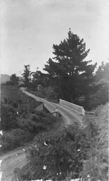 Wainuiomata School bridge, Lower Hutt, Wellington