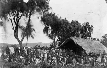 Image: Government land purchases, Wairoa, 1860s
