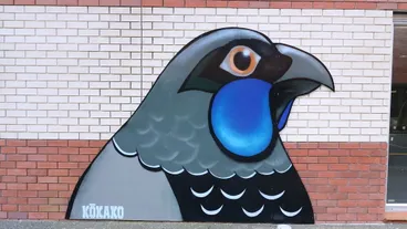 Image: "Kokako"