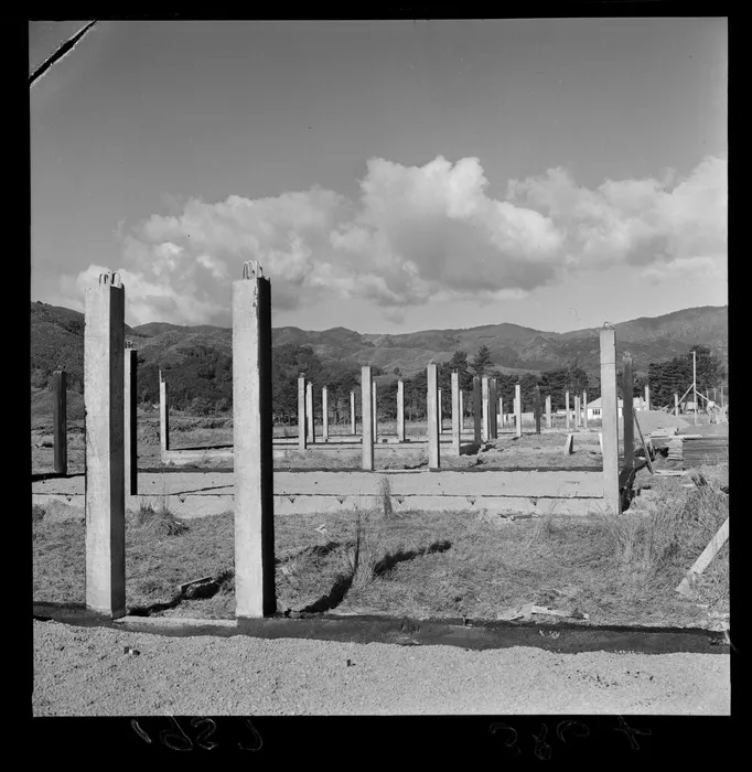 Pylons for terracrete houses at Wainuiomata